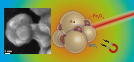 Scheme of gold and iron oxide aggregates with silica shell. Left: electron microscopic image of an aggregate.Illustration: Georgios Sotiriou / ETH Zrich