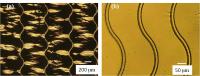 This image shows a set of S-shaped curves with the same phase. (a) The parallel distance 800 μm; (b) the parallel distance 200 μm (aluminum film thickness 200 nm).

Credit: Science China Press