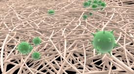 The illustration shows the nanofibers in white and the virus in green.

Photograph: Bjrn Syse