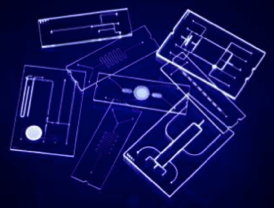 Microfluidics devices, some the size of a credit card. These carry fluids through microscopic channels for diagnostic and drug delivery applications.