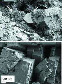 This is a SEM image of stones treated by two different drugs. Above you see altered crystals with a rough surface, below, you see crystal edges still well defined, suggesting limited effect of treatment.

Credit: Dominique Bazin et al