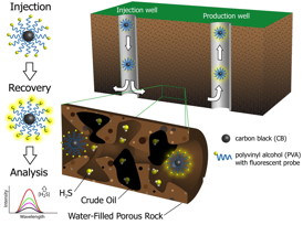 Fluorescent nanoreporters created at Rice University can tell oil producers how "sour" a reservoir is based on its hydrogen sulfide content.Credit: Chih-Chau Hwang/Rice University