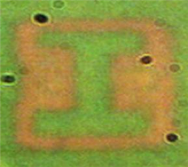 Image of the Illinois I logo recorded by the plasmonic film; each bar in the letter is approximately 6 micrometers.