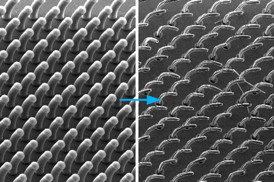 New process developed by MITs John Hart and others can produce arrays of 3-D shapes, based on carbon nanotubes growing from a surface. In this example, all the nanotubes are aligned to curve in the same direction.

Illustration courtesy of the researchers
