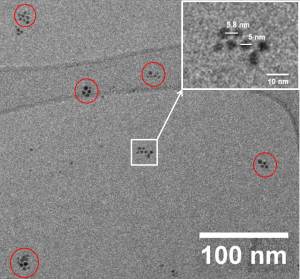 Cryogenic TEM micrograph of gold nanoparticles (Au-NP) in DES-solvent. Sputtering duration 300 s. Red circles show the different domains of self-assembled Au-NPs. The inset shows an enlarged image of one particular domain of self-assembled Au-NPs.
Image: HU Berlin/HZB