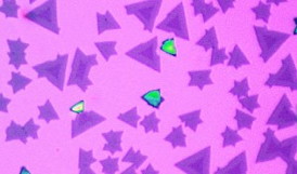 U of Washington

As seen under an optical microscope, the heterostructures have a triangular shape. The two different monolayer semiconductors can be recognized through their different colors.