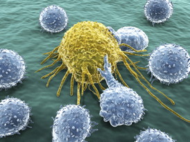 A cancer cell under attack by lymphocytes.
CREDIT: thinkstockphotos.com/Rice University