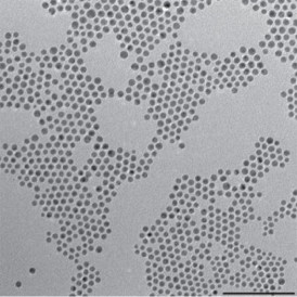 This TEM shows goldcopper bimetallic nanoparticles used as catalysts for the reduction of carbon dioxide, a key reaction for artificial photosynthesis.