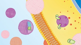 This image illustrates how the nano-cocoon system works. Image courtesy of Zhen Gu.