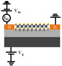 This is the schematic structure of the few-layered MoSe2 FETs.

Credit: copyright (c) 2014 Toyohashi University of Technology. All rights reserved.