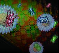 UMass Amherst chemists have devised a multi-channel signature-based approach to screening drugs using a gold nanoparticles with red, green and blue outputs provided by fluorescent proteins.

Credit: UMass Amherst