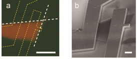 To maximize piezoelectric coupling, electrodes (yellow dashed lines) were defined parallel to the zigzag edges (white dashed lines) of the MoS2 monolayer. Green and red colors denote the intensity of reflection and photoluminescence respectively.