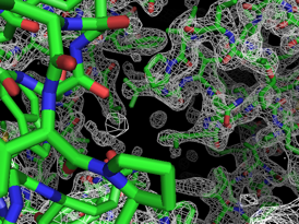 A picture of a membrane protein called cysZ determined with Phenix software using data that could not previously be analyzed. Image Los Alamos National Laboratory