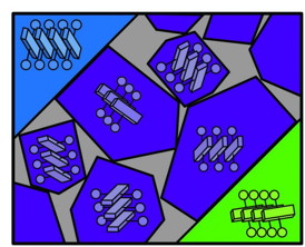 Sketch of organic semiconductor thin film shows that the interfacial region between larger domains (blue and green) consists of randomly oriented small, nano-crystalline domains (purple).
CREDIT: Image courtesy of Naomi Ginsberg, Berkeley Lab