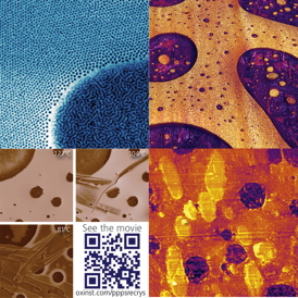Asylum Research AFMs can characterize a wide variety of polymer properties, including morphology (top-left), modulus (top-right), thermal conductivity (bottom-right), and melt- recrystallization behavior (bottom-left). See the application note for full details.