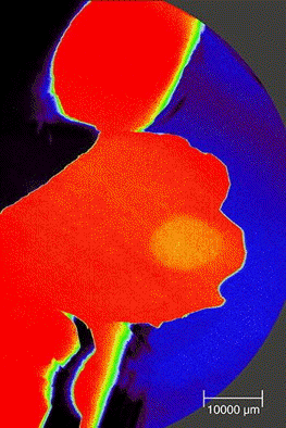Raman image of a silicon carbide wafer illustrating crystal polytypes.