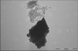 Figure 1a shows lithium manganese nickel oxide and carbon nanotubes clumping separately, with no specific interactions. However, when a multifunctional binding peptide is added to the mixture, as shown in Figure 1b, the peptide binds the dispersed carbon nanotubes to lithium manganese nickel oxide particles.
CREDIT: Evgenia Barannikova/UMBC