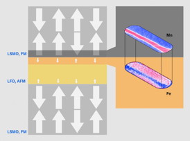 The insulating LFO-layer in its normal state is antiferromagnetically ordered (AFM) and has no ferromagnetic domains. Due to the proximity to the ferromagnetic LSMO, ferromagnetic domains develop (white arrows) at the interface, pointing into the opposite direction of the LSMO-layer.
CREDIT: HZB