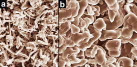 Pacific Northwest National Laboratory has developed a new electrolyte that allows lithium-sulfur, lithium-metal and lithium-air batteries to operate well without growing dendrites, tiny pin-like fibers that short-circuit rechargeable batteries. Shown here are two scanning electron microscope images that illustrate how a traditional electrolyte can cause dendrite growth (a, left), while PNNL's new electrolyte instead causes the growth of smooth nodules that don't short-circuit batteries (b, right).
CREDIT: PNNL