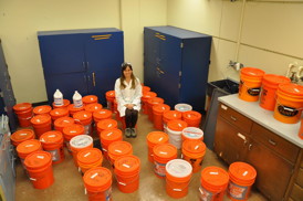 Alicia Taylor, a graduate student at UC Riverside, sits surrounded by buckets of effluent from the septic tank system she used for her research.
CREDIT: UC Riverside