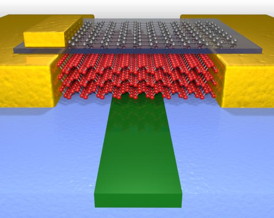 This illustration shows the high performance photodetector which uses few layer black phosphorus (red atoms) to sense light in the waveguide (green material). Graphene (gray atoms) is also used to tune the performance.
CREDIT: University of Minnesota, College of Science and Engineering