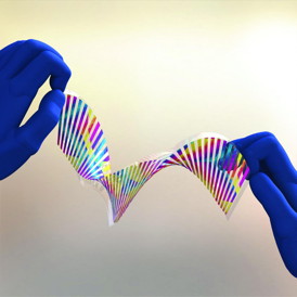 Developed by engineers from the University of California at Berkeley, this chameleon-like artificial "skin" changes color as a minute amount of force is applied.
CREDIT: The Optical Society (OSA)