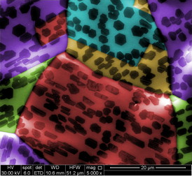 Graphene islands formed in two distinctly different shapes on separate grains of copper (colored in blue and red) grown simultaneously because the substrates' atomic lattices have different orientations, according to Rice University researchers.Credit: Image by Yufeng Hao/coloring by Vasilii Artyukhov