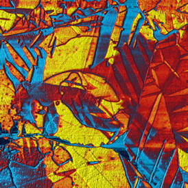Single Frequency PFM scan of PZT made at 20 Hz with a Pt coated AC240 Electrilever. The piezoresponse amplitude was overlaid (color) on top of the rendered topography. Domains are visible as regions of nearly constant amplitude, 7.5μm scan. Imaged with the CypherTM AFM.