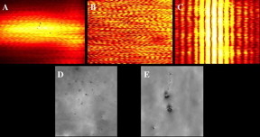 False color images of the interference pattern produced by a double slit for, (A), random Raman laser emission, (B), elastically scattered light and, (C), Helium-Neon laser emission. Strobe photography images of microcavitation bubbles forming, (D), before and, (E),\ after melanasomes are irradiated with 0.625 J/cm2 at 1064 nm.
CREDIT: (A)-(C) Brett Hokr/ Texas A&M University, College Station, TX (D) and (E) Morgan Schmit/Optical Radiation Branch, Joint Base San Antonio, Fort Sam Houston, TX