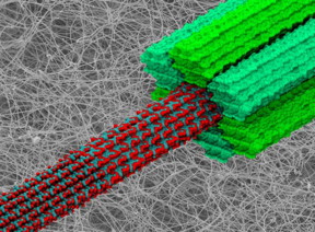 A computer-generated image of three forms of cellulose, the 'scaffolding' of plant cell walls.
CREDIT:IBM