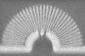 The image shows a metamaterial hyperlens. The light-colored slivers are gold and the darker ones are PMMA (a transparent thermoplastic). Light passes through the hyperlens improving the resolution of very small objects.
CREDIT: University at Buffalo