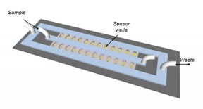 Schematic of the antibiotic susceptibility testing device. The bacteria are cultured in miniature chambers, each of which contains a filter for bacterial capture and electrodes for readout of bacterial metabolism.
CREDIT: U of T Engineering