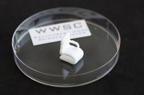 The tiny chair made of cellulose is a demonstrational object printed using the 3-D bioprinter at Chalmers University of Technology.
CREDIT: Peter Widing
