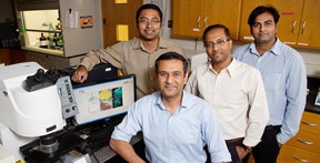 University of Illinois postdoctoral researcher Prabuddha Mukherjee, left, bioengineering professors Rohit Bhargava and Dipanjan Pan, and postdoctoral researcher Santosh Misra, right, report the development of a new class of carbon nanoparticles for biomedical use.
CREDIT: L. Brian Stauffer