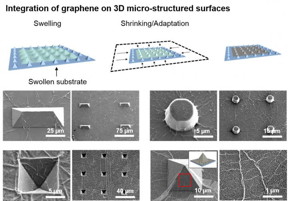 This study demonstrates graphene integration to a variety of different microstructured geometries, including pyramids, pillars, domes, and inverted pyramids.
CREDIT: Nam Research Group, University of Illinois