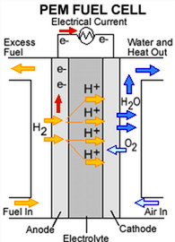  Hydrogen PEMFC showing the anode catalyst layer where hydrogen gas is oxidized to hydrogen ions (protons), the cathode catalyst layer where oxygen reduction reaction occurs producing water and the electrolyte ( also called membrane or polymer electrolyte) where only protons migrate from the anode to the cathode to react with oxygen.
