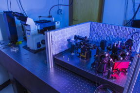 JILA instrument for accurately tracking microscopic objects such as DNA molecules for many hours is pictured. The microscope is on the left. The sample is mounted on the black block on top of the silver stage. The lasers and optics are on the right.
CREDIT: Burrows/JILA