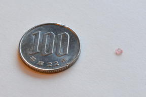 A crystal made of manganese and other elements that provides a strong hyperfine interaction between the nucleus and electrons is just a few millimeters wide. It is shown next to a 100 Yen coin for scale.
CREDIT: OIST