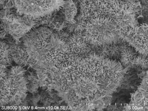 This is the microscopic image of the novel 3D photocatalytic material, designed by scientists from the Institute of Physical Chemistry of the Polish Academy of Sciences in Warsaw, Poland, and the Fuzhou University, China.
CREDIT: IPC PAS, Fuzhou University