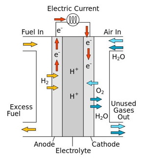 A team of chemists from the University of Wisconsin-Madison has introduced a new fuel cell catalyst approach that uses a molecular catalyst system instead of solid catalysts.
CREDIT: Stahl Group/University of Wisconsin-Madison