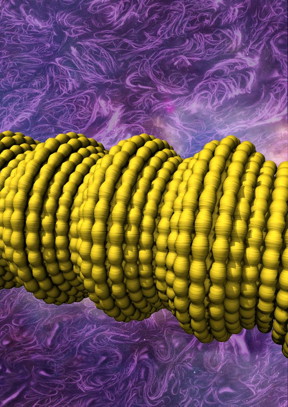 University of Texas at Dallas scientists have constructed novel fibers by wrapping sheets of tiny carbon nanotubes to form a sheath around a long rubber core. This illustration shows complex two-dimensional buckling, shown in yellow, of the carbon nanotube sheath/rubber-core fiber. The buckling results in a conductive fiber with super elasticity and novel electronic properties.
CREDIT: UT Dallas Alan G. MacDiarmid NanoTech Institute