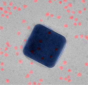 A nanoscale view of the new superfast fluorescent system using a transmission electron microscope. The silver cube is just 75-nanometers wide. The quantum dots (red) are sandwiched between the silver cube and a thin gold foil.
CREDIT: Maiken Mikkelsen, Duke University