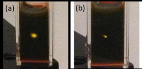 Photographs of upconversion in a cuvette containing cadmium selenide/rubrene mixture. The yellow spot is emission from the rubrene originating from (a) an unfocused continuous wave 800 nm laser with an intensity of 300 W/cm2. (b) a focused continuous wave 980 nm laser with an intensity of 2000 W/cm2. The photographs, taken with an iPhone 5, were not modified in any way.
CREDIT: Zhiyuan Huang, UC Riverside.