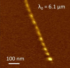 This s-SNOM infrared image shows Luttinger-liquid plasmons in a metallic single-walled nanotube.
CREDIT: Courtesy of Feng Wang, Berkeley Lab