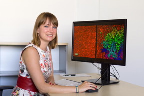 Manuela Gbelt is evaluating SEM-images to calculate the local degree of networking.
CREDIT: Photo: Bjrn Hoffmann.