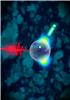 Directional electron acceleration on glass nanospheres. A femtosecond laser pulse (coming from the left) hits a glass nanosphere. The light releases electrons (green) from the group of atoms. Graphic: Martin Dulovits, woogieworks
