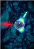 Directional electron acceleration on glass nanospheres. A femtosecond laser pulse (coming from the left) hits a glass nanosphere. The light releases electrons (green) from the group of atoms. Graphic: Martin Dulovits, woogieworks