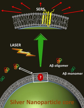 The picture shows toxic Alzheimer's amyloid beta molecules landing on a fake cell membrane, wrapped around a silver nanoparticle. A laser, with help from the silver particle, lights up the molecule to reveal its structure.

Copyright Debanjan Bhowmik