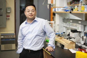 Research by Assistant Professor of Biomedical Engineering Qiaobing Xu and colleagues could lead to new ways to repair nerve tissue injuries. Photo: Kelvin Ma
