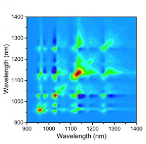 A covariance matrix produced with a new technique at Rice University maps fluorescence signals from various species of single-walled carbon nanotubes that are beginning to aggregate in a sample. The matrix allows researchers to know which types of nanotubes (identified by their fluorescence spectra) have aggregated and in what amounts, in this case after four hours in solution.
CREDIT: Weisman Lab/Rice University